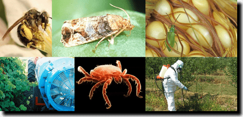 PSEP Distance Learning Center